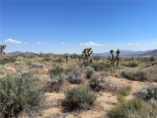 15310023 Kelso Valley Rd, Weldon, CA 93283
