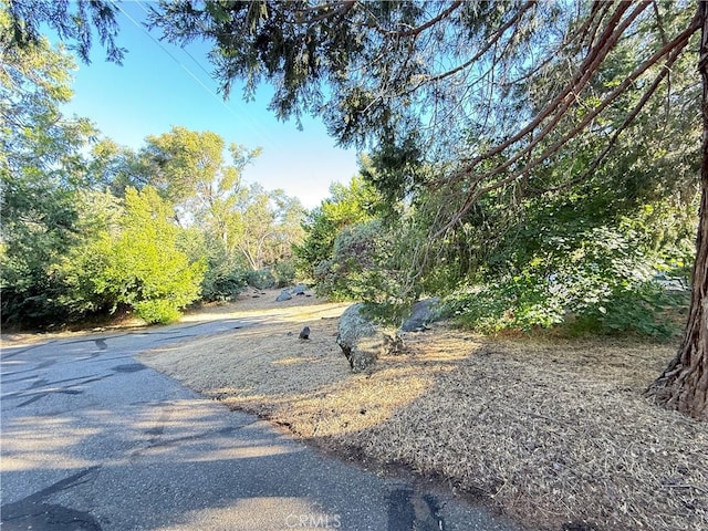 5452 Carleton Rd, Mariposa, CA 95338 - photo 13