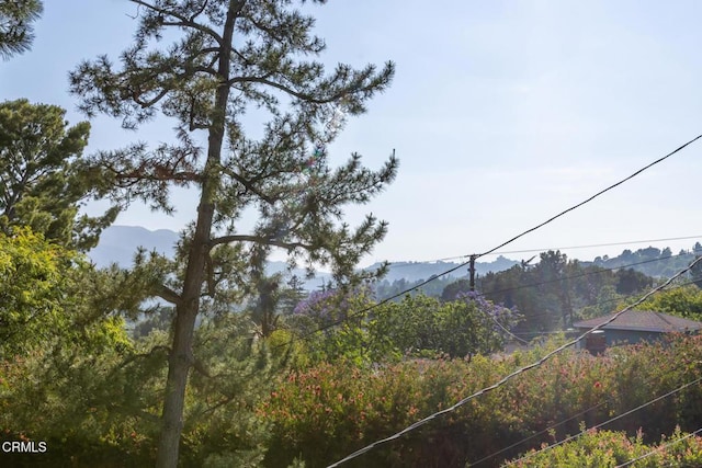 5240 Ramsdell Ave, La Crescenta, CA 91214 - view of mountain background with a forest