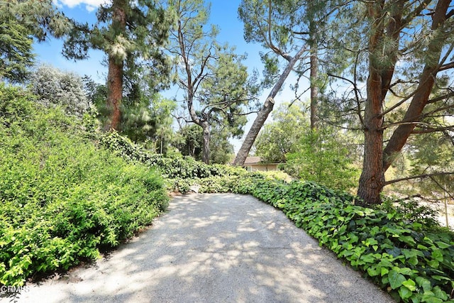 5240 Ramsdell Ave, La Crescenta, CA 91214 - view of patio / terrace
