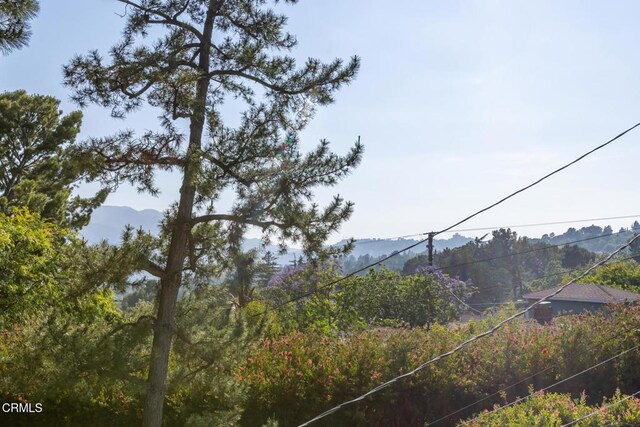 5240 Ramsdell Ave, La Crescenta, CA 91214 - view of mountain background with a forest