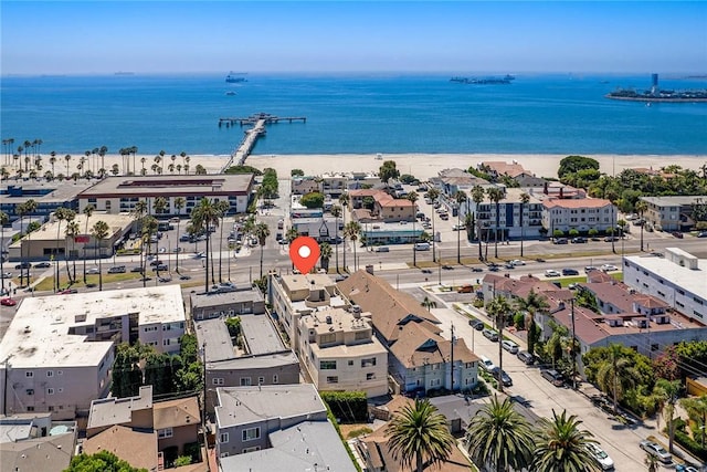 3811 E Livingston Dr Unit 1, Long Beach, CA 90803 - bird's eye view of expansive coastline