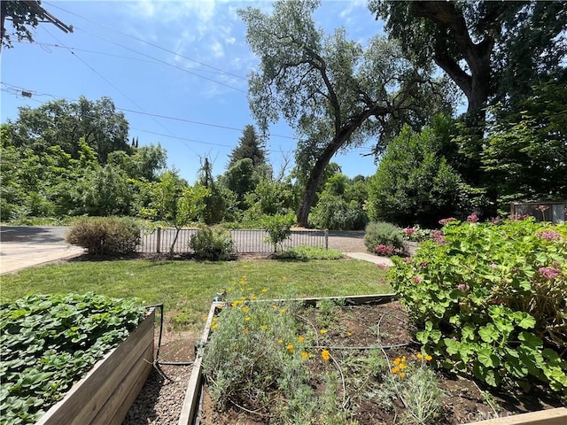 1220 Bidwell Ave, Chico, CA 95926 - view of yard with a vegetable garden