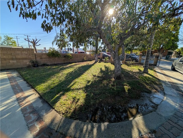 10051 Orchard St, Bloomington, CA 92316 - view of fenced yard