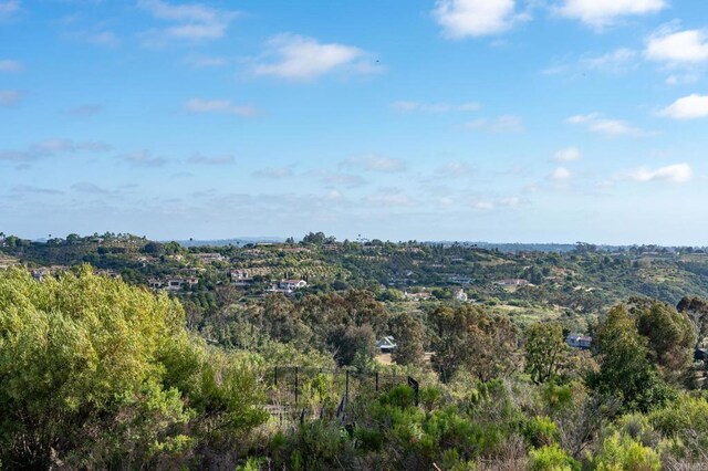 6251 Calle Ponte Bella, Rancho Santa Fe, CA 92091 - photo 15