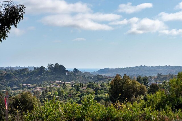 6251 Calle Ponte Bella, Rancho Santa Fe, CA 92091 - photo 10