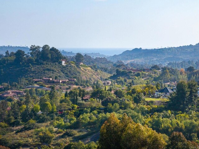 6251 Calle Ponte Bella, Rancho Santa Fe, CA 92091 - photo 6