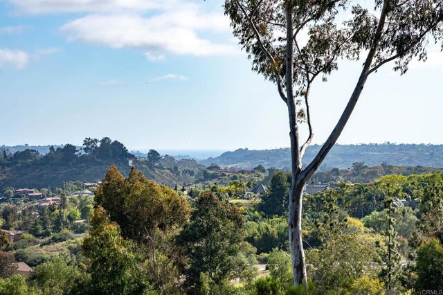 6251 Calle Ponte Bella, Rancho Santa Fe, CA 92091 - photo 11