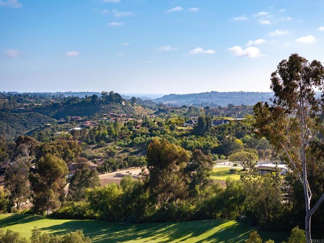 6251 Calle Ponte Bella, Rancho Santa Fe, CA 92091 - photo 5