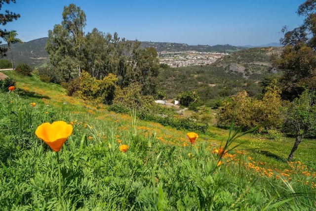 2702 Country Club Dr, Escondido, CA 92029 - view of mountain backdrop