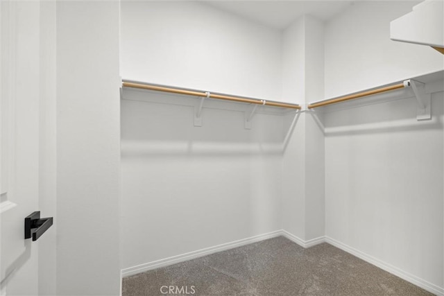 12039 Stanley Park Ct, Hawthorne, CA 90250 - walk in closet with carpet floors