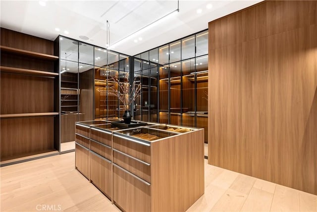25151 Jim Bridger Rd, Hidden Hills, CA 91302 - spacious closet featuring light wood finished floors