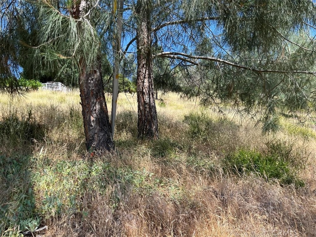 6925 Echo Dr, Kelseyville, CA 95451 - photo 3