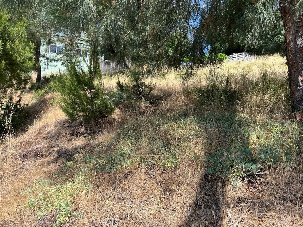 6925 Echo Dr, Kelseyville, CA 95451 - photo 2