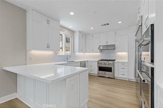 573 Patten Ave, Placentia, CA 92870 - kitchen featuring stainless steel appliances, under cabinet range hood, a peninsula, white cabinets, and light countertops