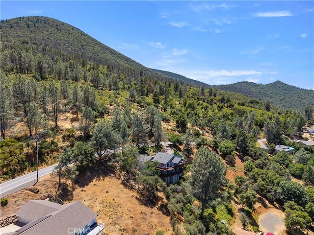 3111 Skyline Dr, Kelseyville, CA 95451 - photo 65