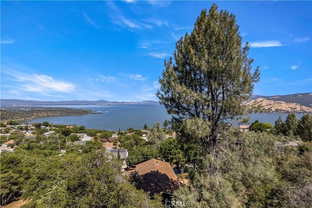 3111 Skyline Dr, Kelseyville, CA 95451 - photo 17
