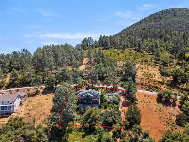 3111 Skyline Dr, Kelseyville, CA 95451 - photo 56