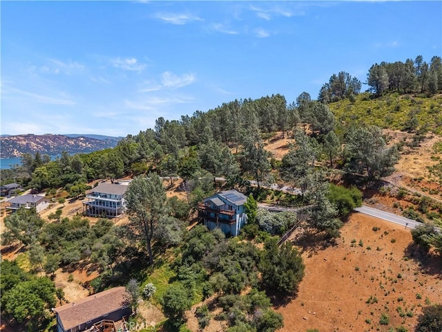 3111 Skyline Dr, Kelseyville, CA 95451 - photo 64