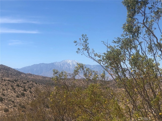 54575 Navajo Trl, Yucca Valley, CA 92284