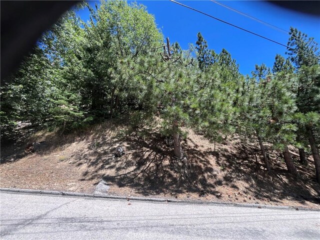 0 Cedar Ct, Angelus Oaks, CA 92305 - photo 1