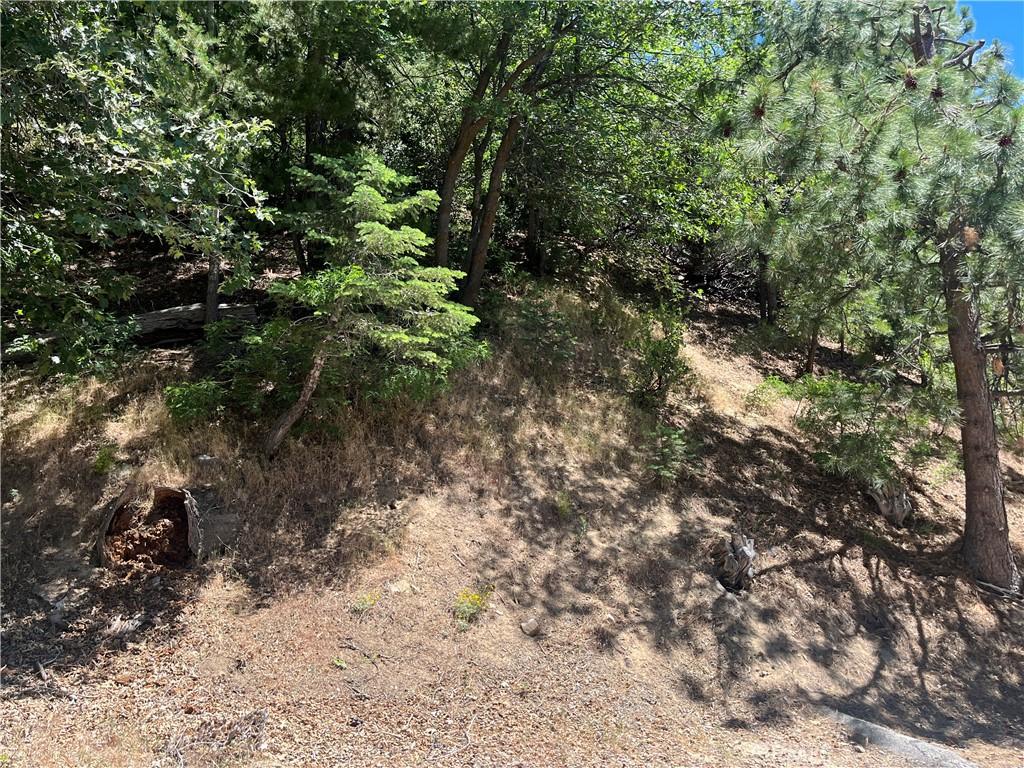 0 Cedar Ct, Angelus Oaks, CA 92305 - photo 2