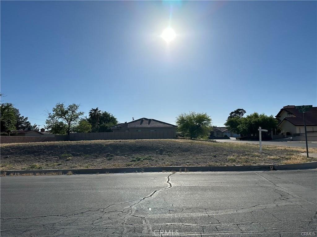 0 Silver Lace Ln, Barstow, CA 92311 - photo 4