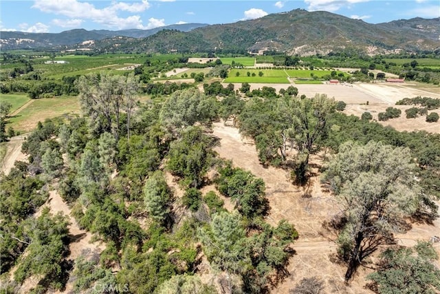 11060 16 N, Upper Lake, CA 95485 - photo 16