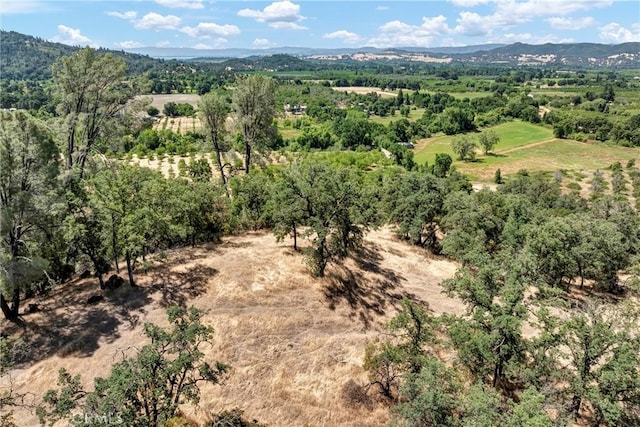 11060 16 N, Upper Lake, CA 95485 - photo 18