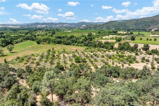 11060 16 N, Upper Lake, CA 95485 - photo 30