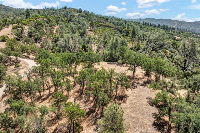 11060 16 N, Upper Lake, CA 95485 - photo 19