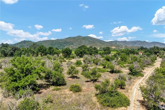 11060 16 N, Upper Lake, CA 95485 - photo 22