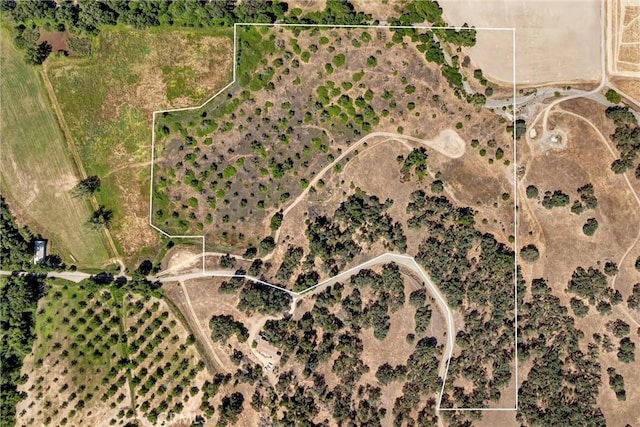 11060 16 N, Upper Lake, CA 95485 - photo 9