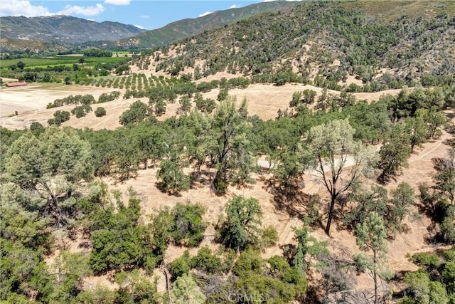 11060 16 N, Upper Lake, CA 95485 - photo 14
