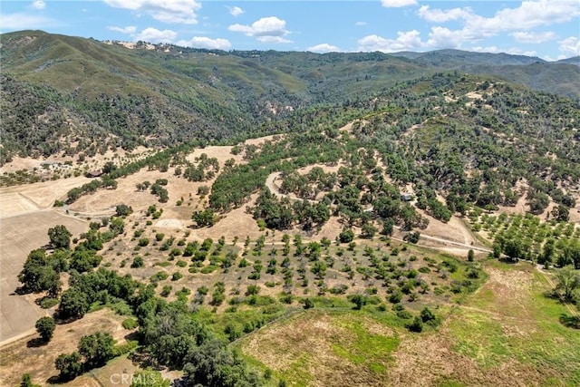 11060 16 N, Upper Lake, CA 95485 - photo 29