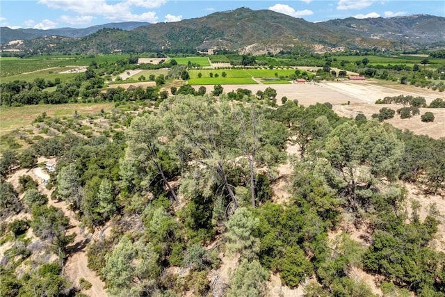11060 16 N, Upper Lake, CA 95485 - photo 15