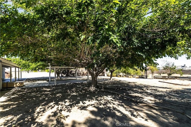 3807 Paula Ln, Lancaster, CA 93535 - view of yard