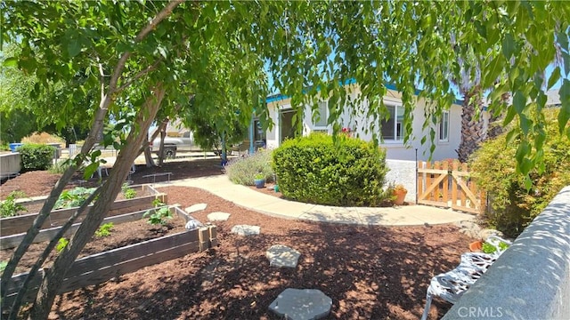 412 N Mallagh St, Nipomo, CA 93444 - view of yard featuring a garden