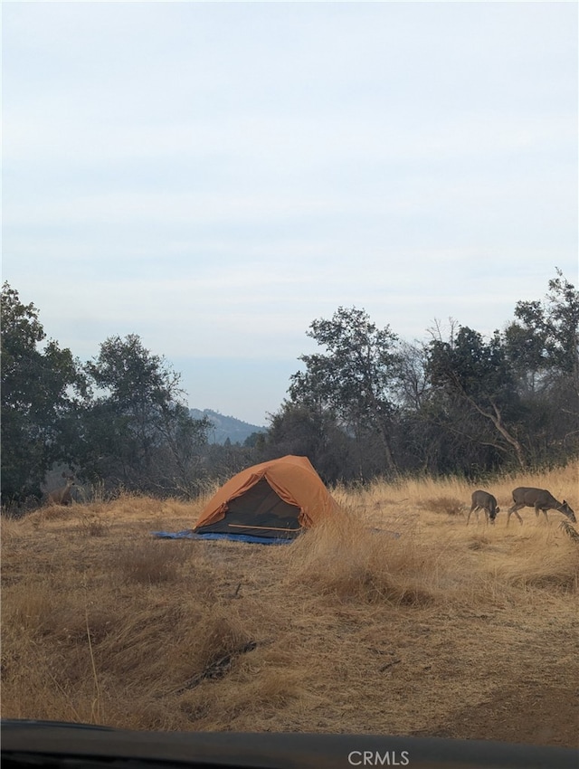 4548 Triangle Rd, Mariposa, CA 95338 - photo 2