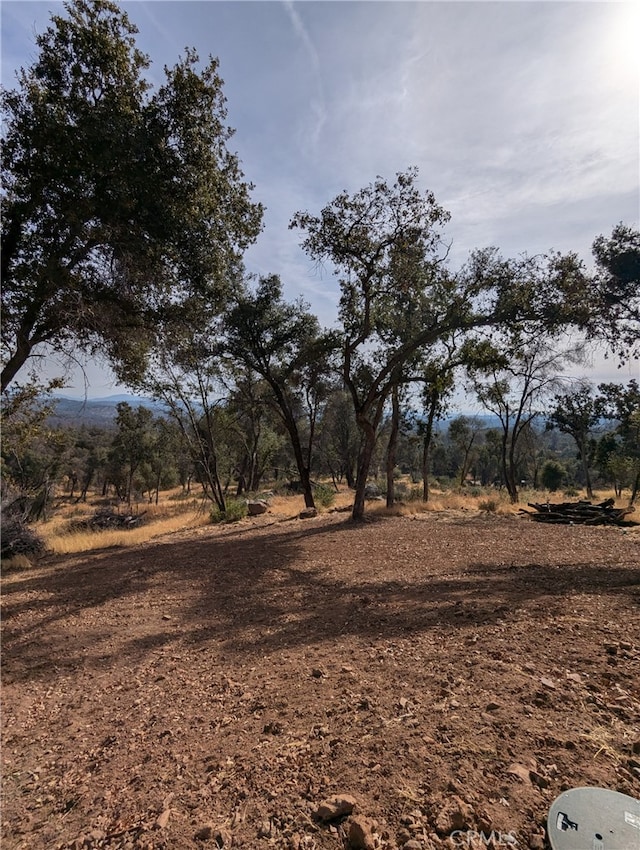 4548 Triangle Rd, Mariposa, CA 95338 - photo 12