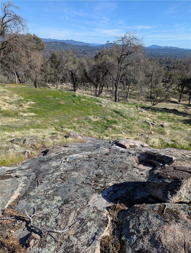 4548 Triangle Rd, Mariposa, CA 95338 - photo 5