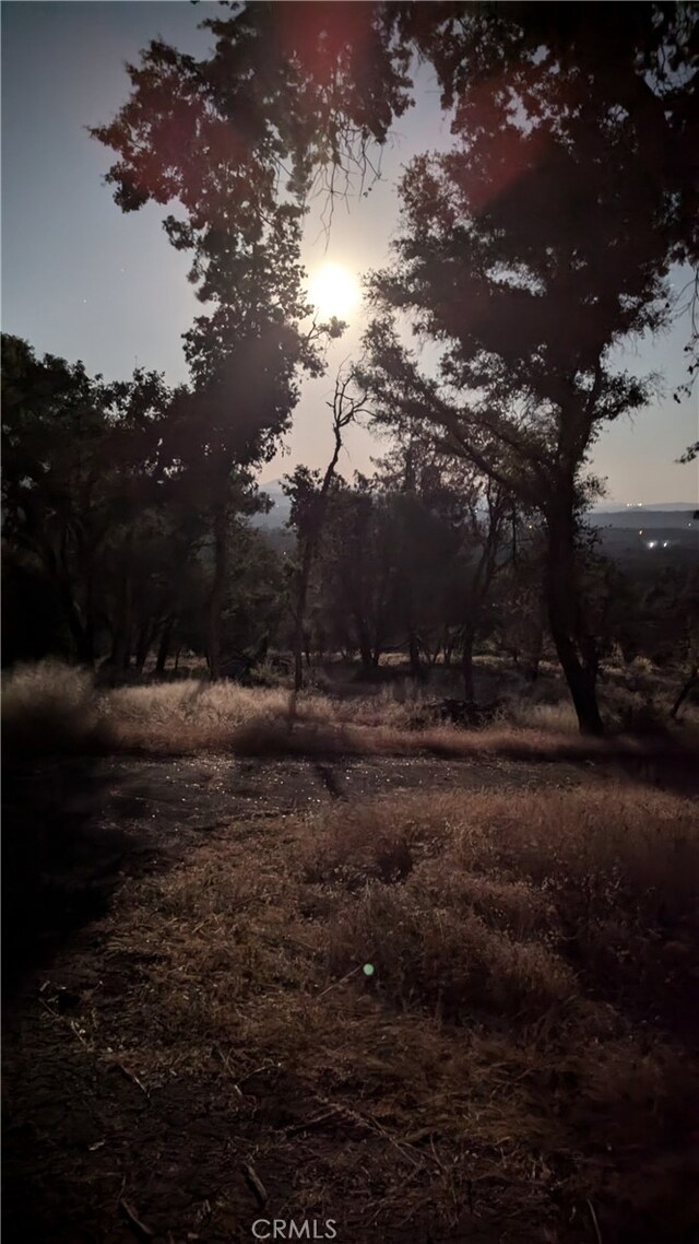 4548 Triangle Rd, Mariposa, CA 95338 - photo 8