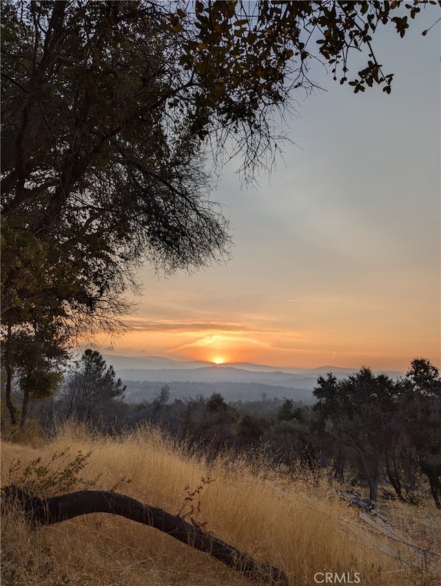 4548 Triangle Rd, Mariposa, CA 95338 - photo 1
