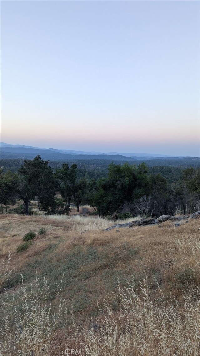 4548 Triangle Rd, Mariposa, CA 95338 - photo 10