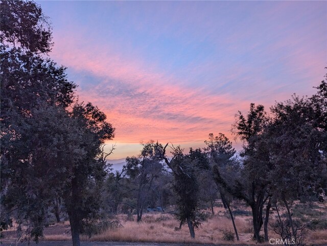 4548 Triangle Rd, Mariposa, CA 95338 - photo 14