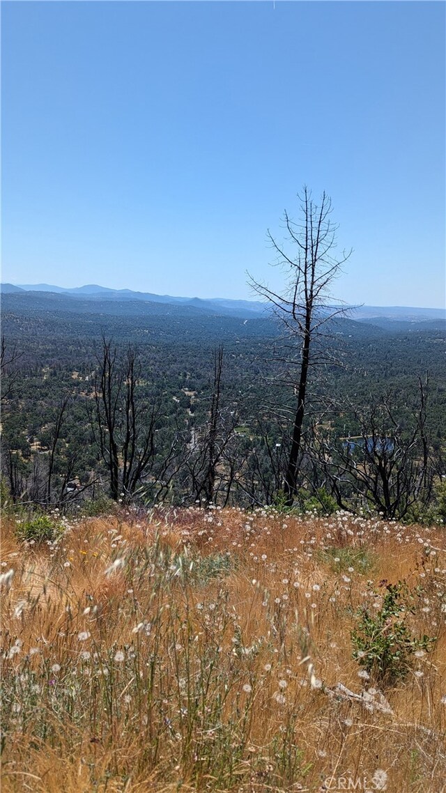 4548 Triangle Rd, Mariposa, CA 95338 - photo 7