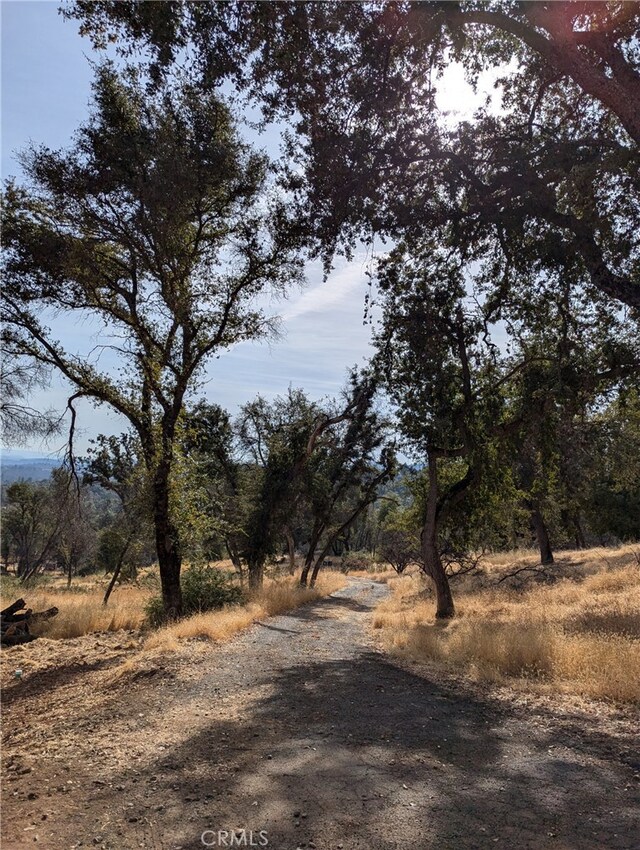 4548 Triangle Rd, Mariposa, CA 95338 - photo 13