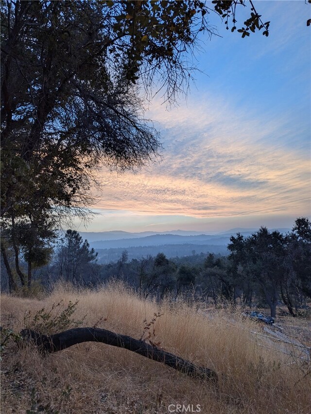 4548 Triangle Rd, Mariposa, CA 95338 - photo 15