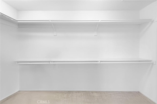 15216 Masline St, Baldwin Park, CA 91706 - walk in closet with carpet floors