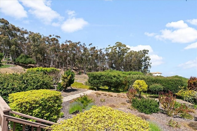 2703 Rodman Dr, Los Osos, CA 93402 - photo 38